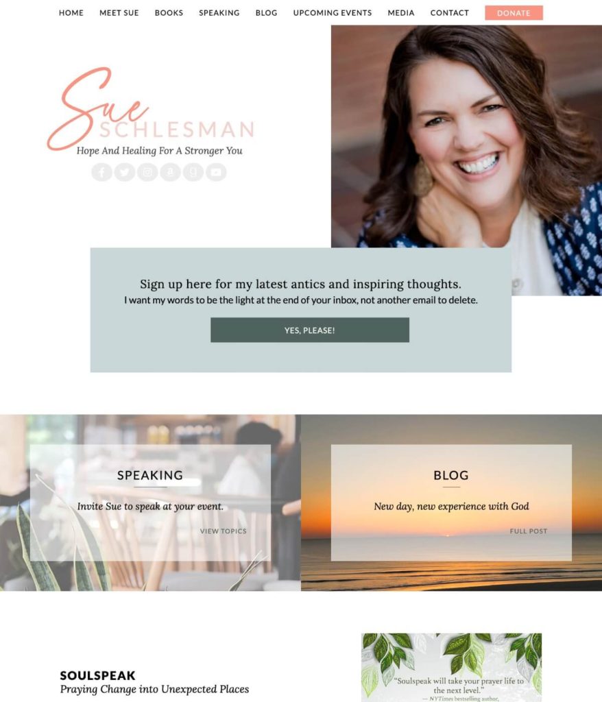Sue Schlesman web design by kikaDESIGN